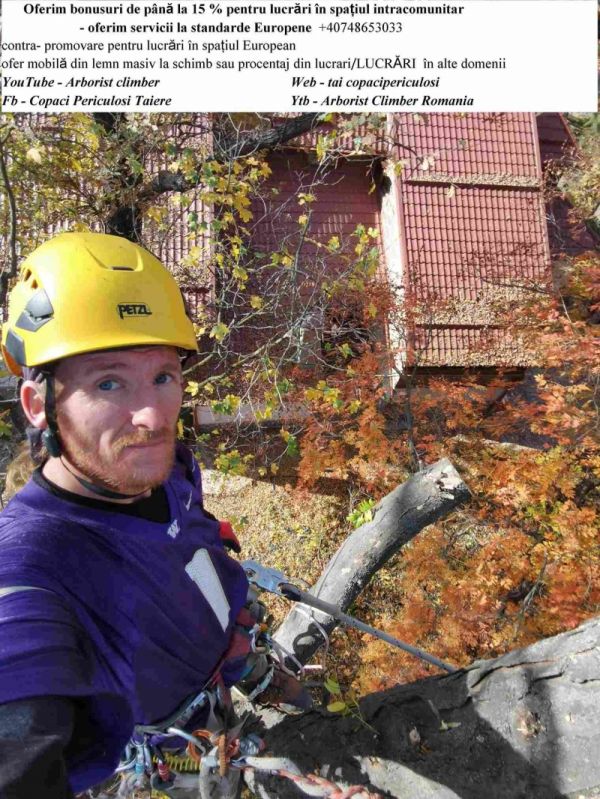 Toaletare / taiere arbori mari Ilfov Bucuresti cu si fara macara /nacela prb