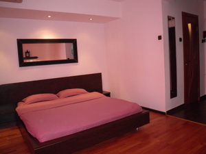 Cazare regim hotelier Piata Romana, Dristor