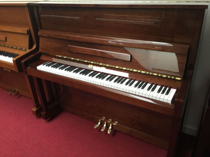 Vanzari Piane si Pianine Clasice (Acustice)