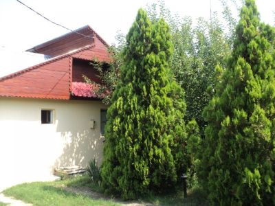 Casa de vanzare Moara Vlasiei, Caciulati, 10 min de aeroport