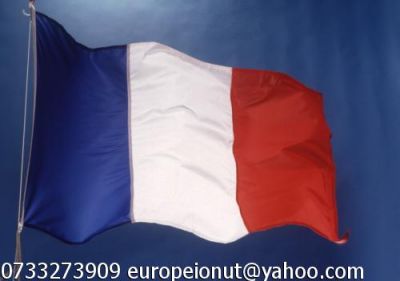Meditatii Franceza 