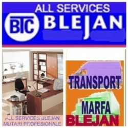 relocari locuinte si mutari sedii firma