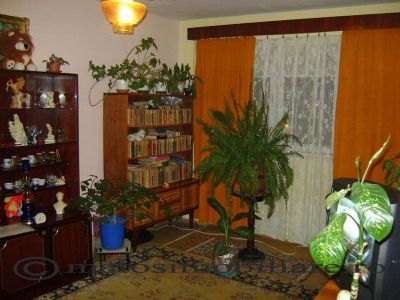 Vand apartament cu 2 camere in Campina 7