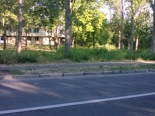 Vanzare teren intravilan Venus, Constanta
