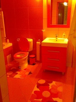 Vand apartament nou in vila