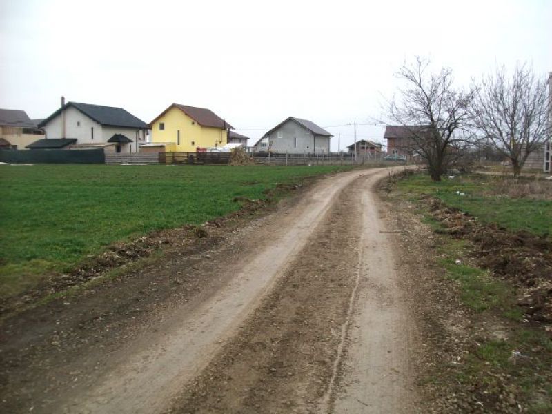 Particular.Vand lot teren intravilan Berceni Ilfov