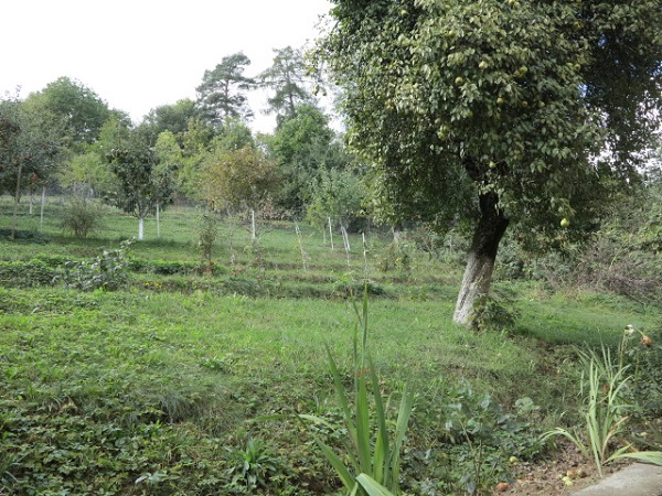 Drumul Poienii - Warthe, vila 4 camere, teren 1000mp
