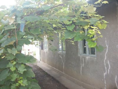 De vanzare casa 2 camere jud. Calarasi + 3000 mp curte