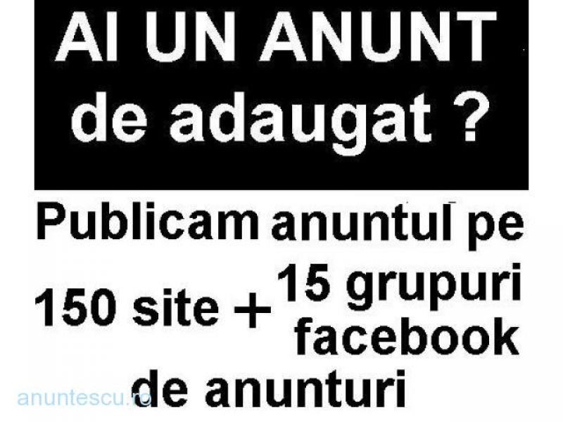 Serviciu de postare anunturi 