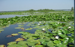 Investitie in Delta Dunarii