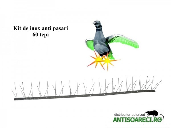   banda  anti pasari