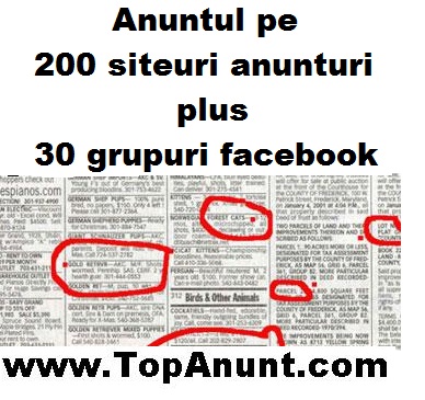Anuntul tau in 200 site-uri prin TopAnunt