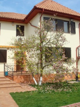 Vand vila zona Otopeni langa Ana Aslan