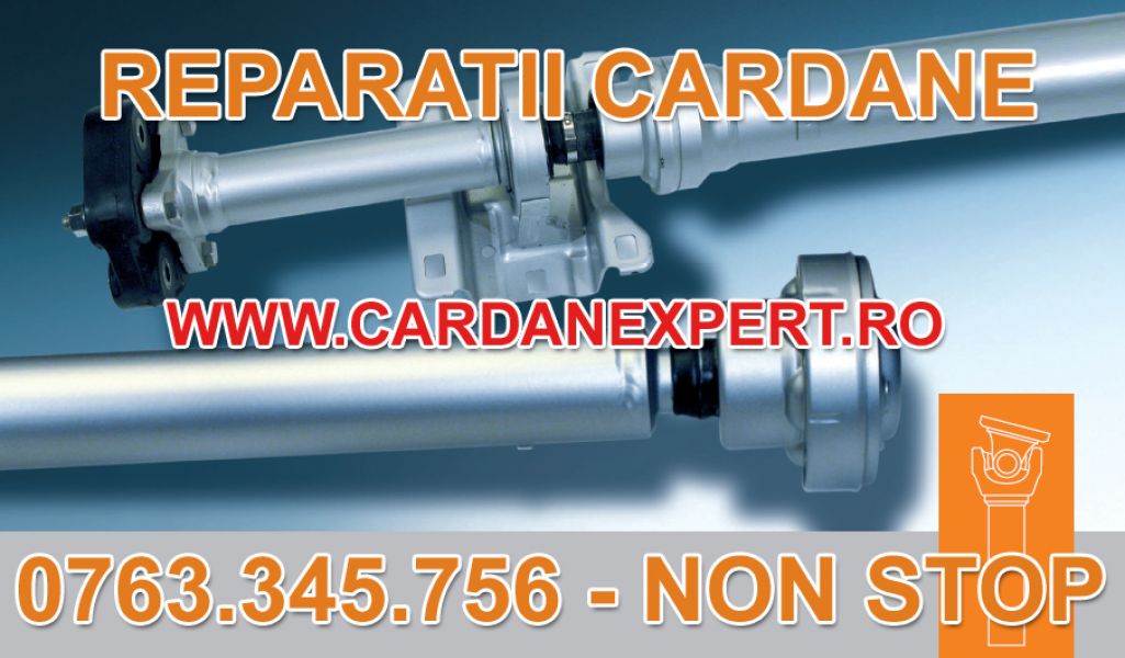 Reparatie Cardan DAF CF,LF,XF 