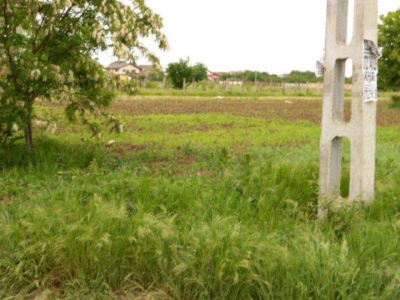 Vanzare terenuri in com.Berceni Ilfov, Proprietar