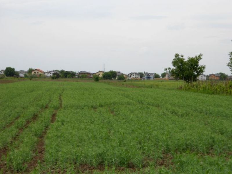 Direct Proprietar! Teren de vanzare Berceni Ilfov