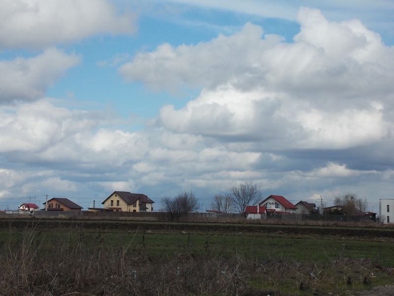 Teren parcelat pentru constructii in comuna Berceni Ilfov