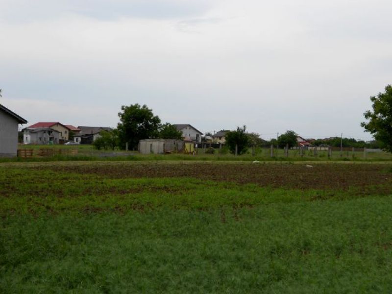 Vand teren - Berceni Ilfov, 272mp utili loturi 
