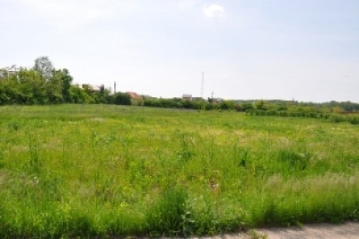 Vand teren intravilan bucuresti jandarmeriei 11420 mp