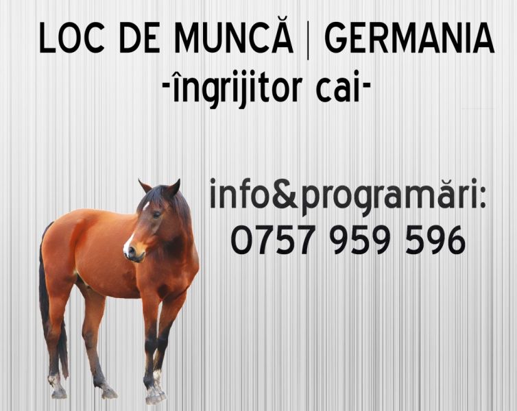 Angajari germania ferme de cai