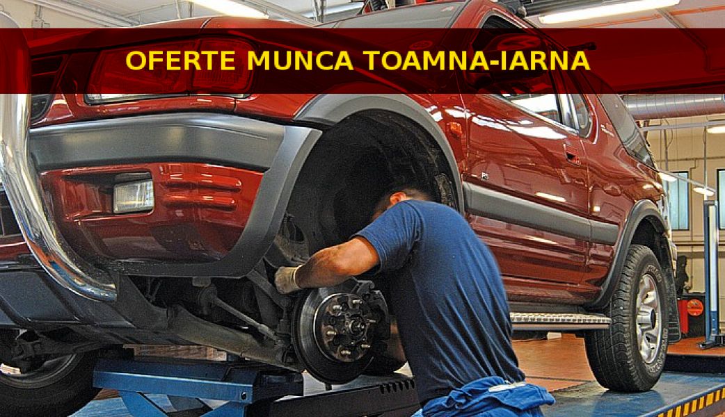 Munca strainatate, mecanici
