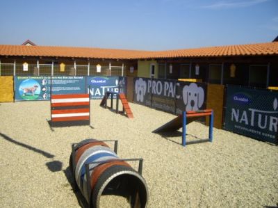 pensiune canina timisoara