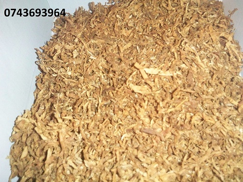 Vand tutun firicel de calitate fara inpuritati