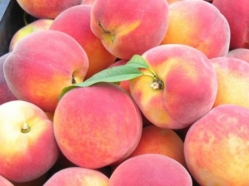 Legume fructe de sezon din Grecia