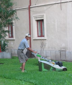 NOU Intretinere spatii verzi - Germania