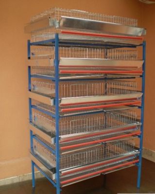 Custi,colivii,baterii si capcane pentru animale si pasari