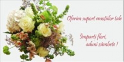 Florarie online Iasi - comenzi flori Iasi