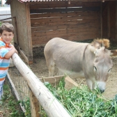 Ferma de animale 1.400 euro