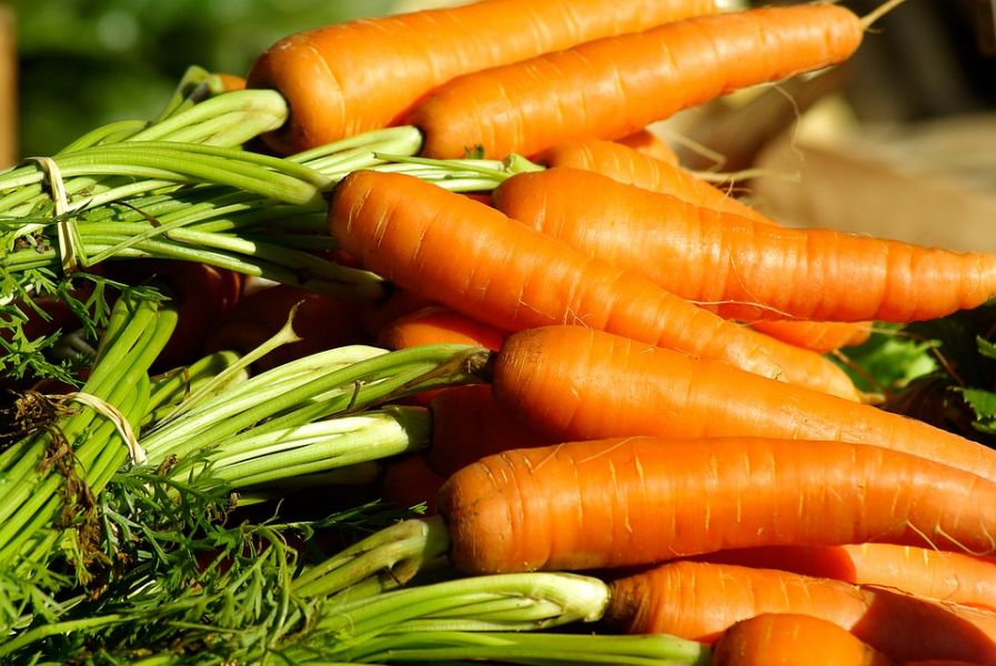 Depozite de legume la morcovi - femei si barbati, 1500E
