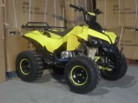 ATV Ieftinde vanzare Renegade 125-w8