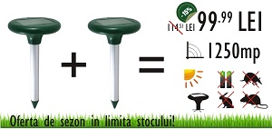 Anti cartita soareci de camp dihori