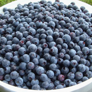 Cumparam fructe de afine.