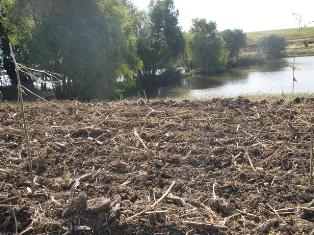 Vanzare teren Belciugatele Lac Valea Iazurilor 7Ha