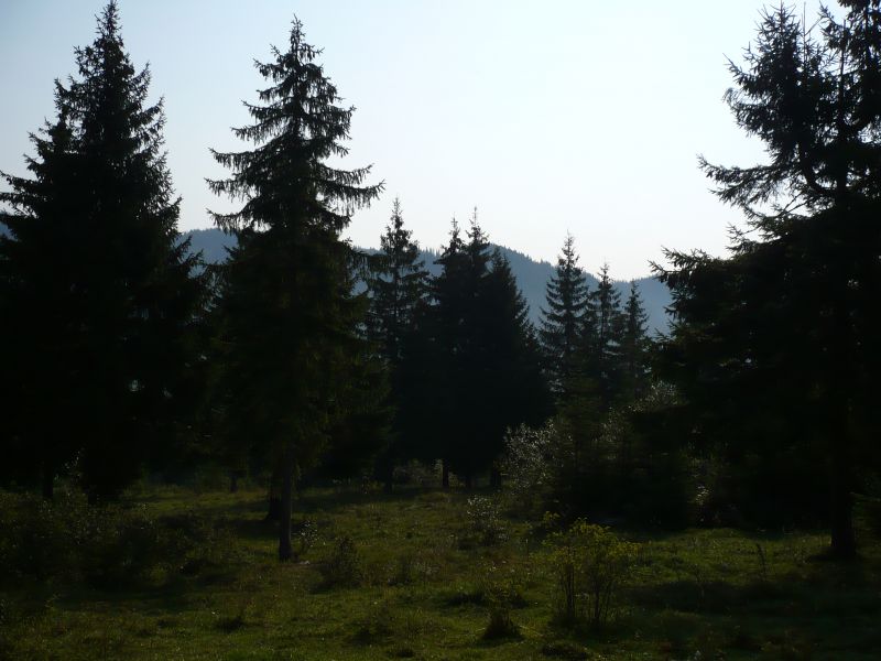 Revelion  2017 in Bucovina