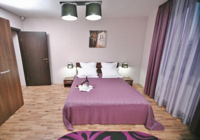 Cazare in Brasov la Vila Twins Aparthotel 4 stele 