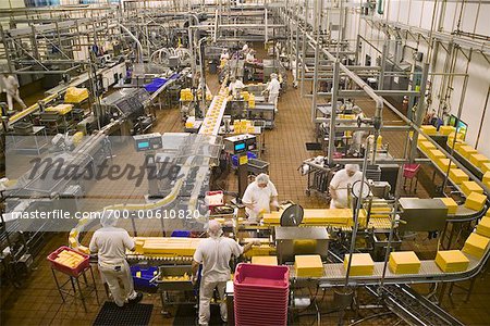 Angajator strain angajeaza femei, barbati/cupluri, grupuri in fabrica de cascaval 1400-1600 Euro