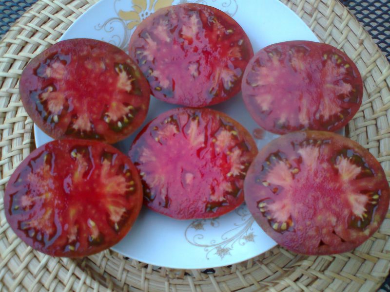 Vand seminte selectionate de rosii,150 soiuri pure bio