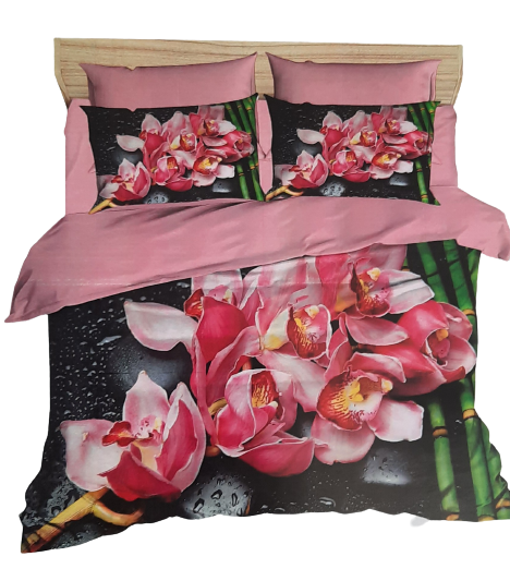 Special Concept Ind. S.R.L.