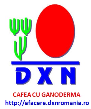 Construieste-ti reteaua MLM online