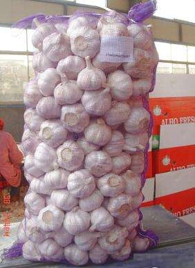 Usturoi Import spania( De Vanzare)