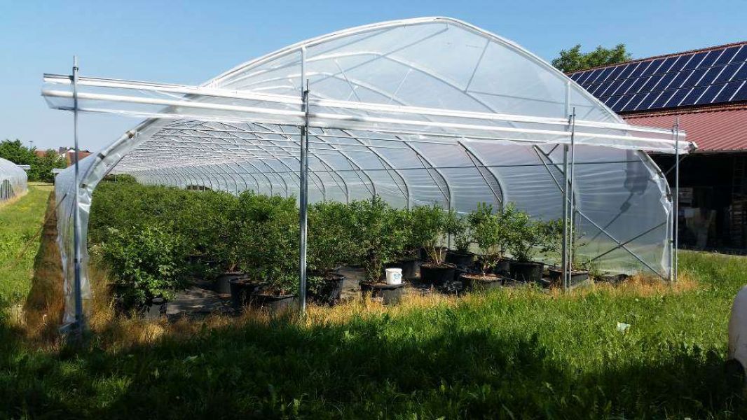 Sere Profesionale cu folie si polycarbonat