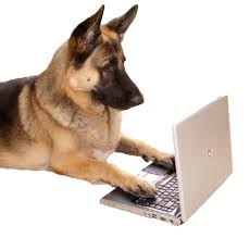 Surpriza ofertelor de lucru