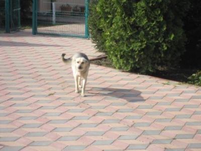 menajera interna bucuresti