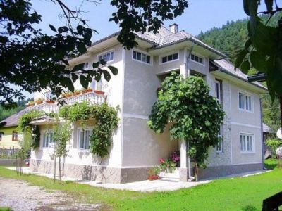 Oferim cazare in Maramures, localitatea Moisei, la 15 km de Statiunea Turistica Borsa