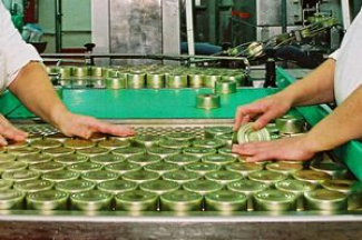               Angajator strain angajeaza in fabrica de conserve -1400-1600 Euro 
