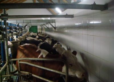 Lucru in ferme de animale in Germania